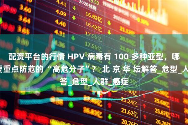 配资平台的行情 HPV 病毒有 100 多种亚型，哪些是需要重点防范的 “高危分子”？ 北 京 华 坛解答_危型_人群_癌症
