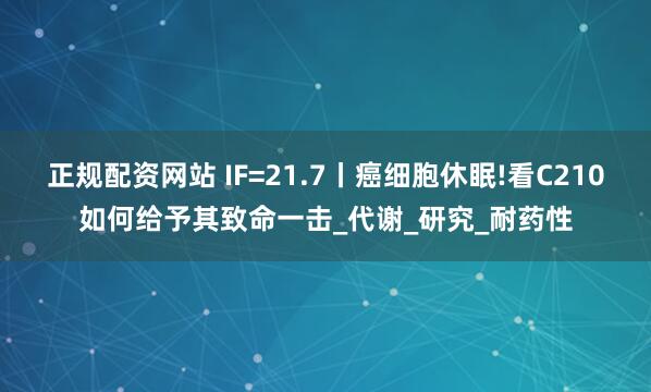 正规配资网站 IF=21.7丨癌细胞休眠!看C210如何给予其致命一击_代谢_研究_耐药性