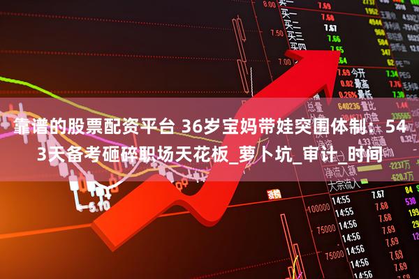 靠谱的股票配资平台 36岁宝妈带娃突围体制：543天备考砸碎职场天花板_萝卜坑_审计_时间
