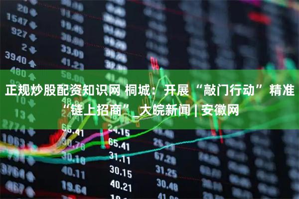 正规炒股配资知识网 桐城：开展 “敲门行动” 精准“链上招商”_大皖新闻 | 安徽网